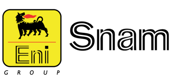 世界最大的上下游一體化經(jīng)營(yíng)的跨國(guó)石油公司之一-意大利埃尼集團(tuán)-埃尼石油（ENI）-LOGO設(shè)計(jì)內(nèi)涵與品牌設(shè)計(jì)欣賞