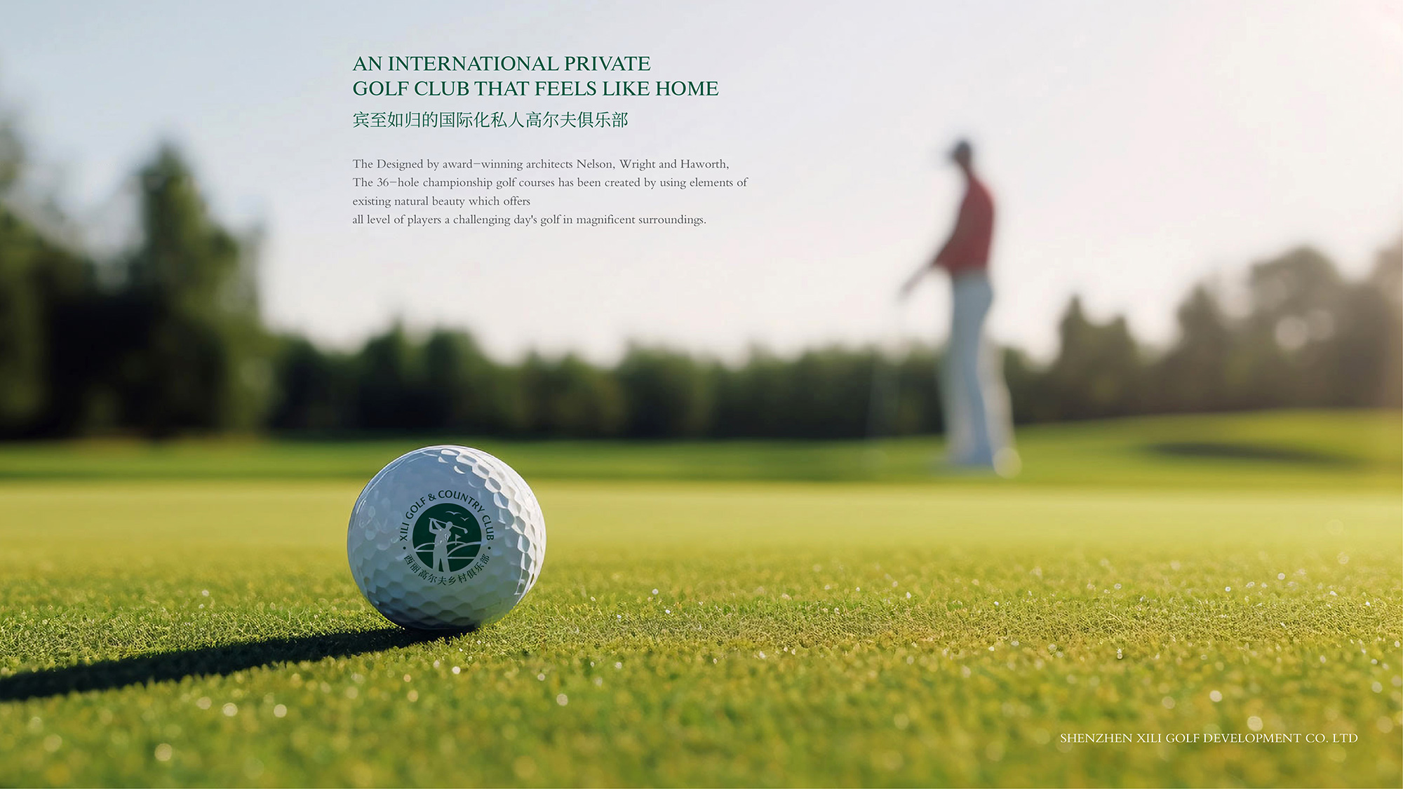 品牌形象升級(jí)